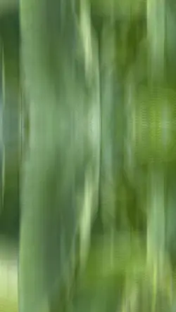 Filter Template 