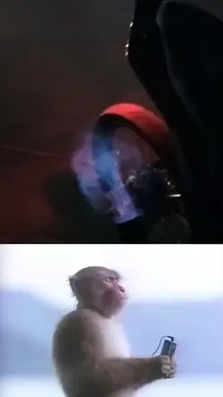 Monyet denger musik