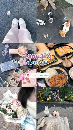JANUARY DUMP 