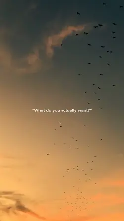 Give me freedom