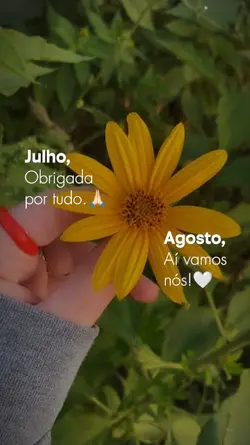 Gratidão Julho
