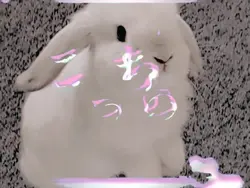 간지크로마키