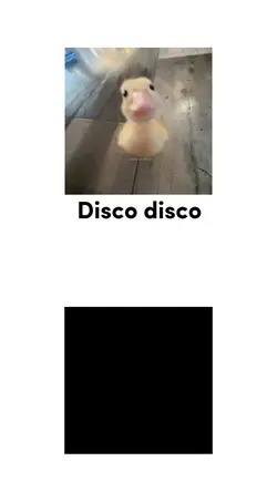 I say disco you say