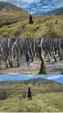 3 frame 1 videos