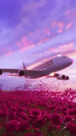 Love plane 