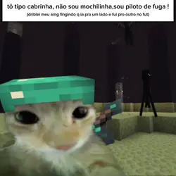 sou mt