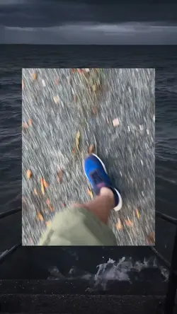 おもしろ動画テンプレート