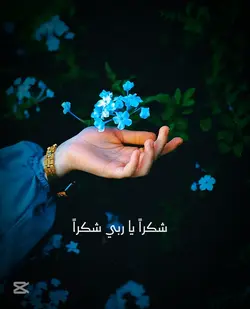 يا منزل القرآن 