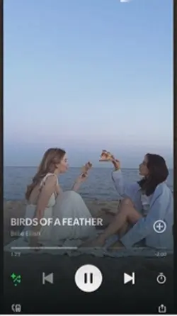 Bird Of Feather