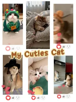 Catday