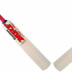 cricket team