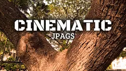 Cinematic 