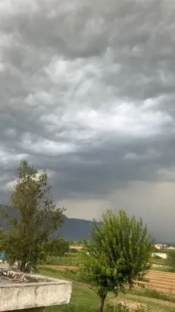 kamal ka mausam 