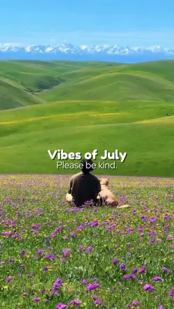 Vibes of July 