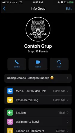 collab grup 30 org