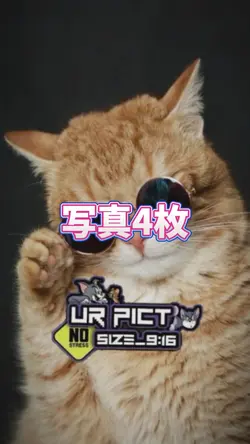 写真4枚
