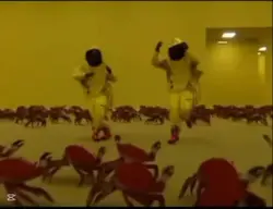 Türkler Backroomsda