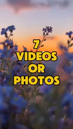 Wild Flowers