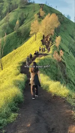 what is your job