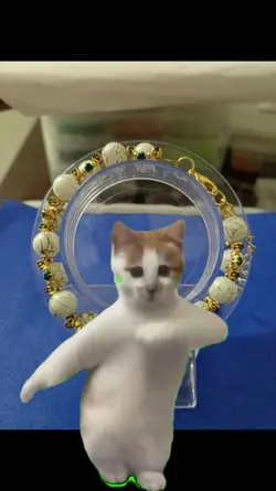 kucing menari
