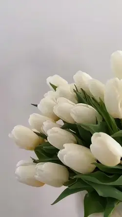 Spring Blossom