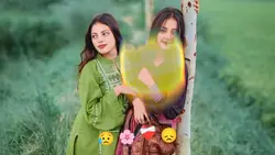  নিউ টেমপ্লেট 