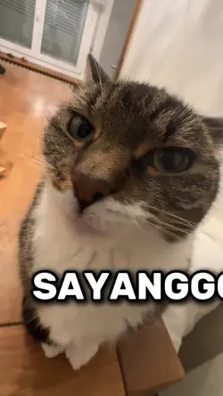 VERSI NO MIROR 