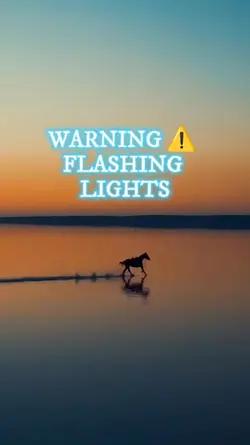 FLASHING LIGHT 