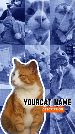 pet introduce