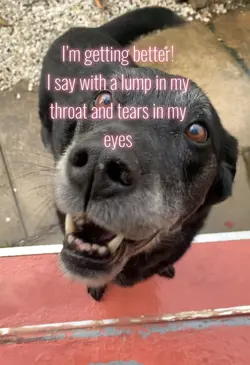 Rip Lenny (my dog)