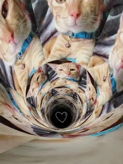 TUNNEL YOU