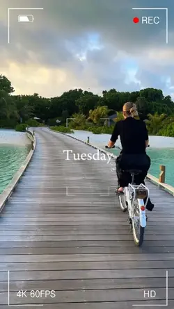 daily vlog