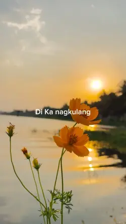 Di ka Nagkulang