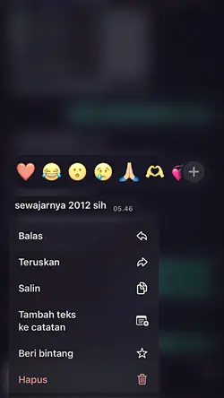sewajarnya 2012