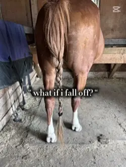 Barrel racer123