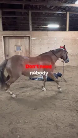 Don’t need nobody 