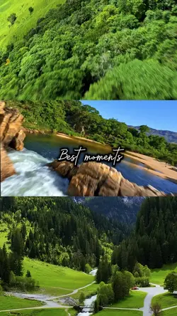  56 video or photo