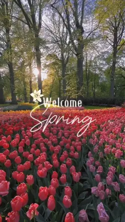 Welcome Spring 