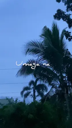 Umaga