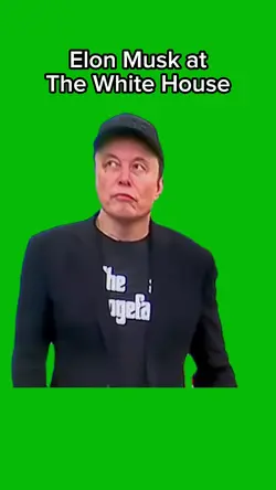 Musk at White House