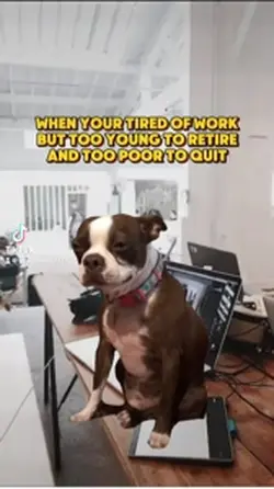 Work life 