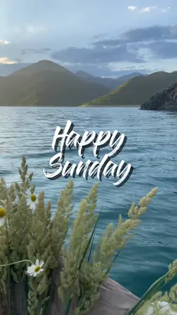 happy sunday