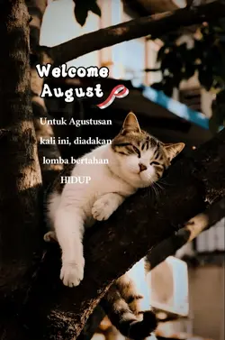 Welcome August 2026