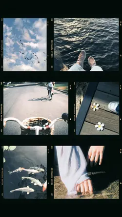 6 frame