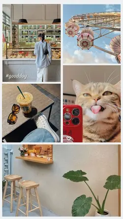 5 PIC