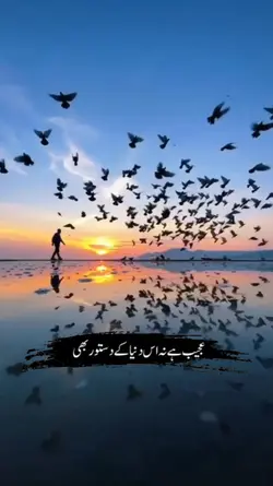 دنیا کا دستور
