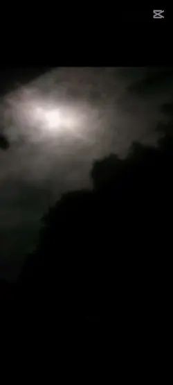 习
