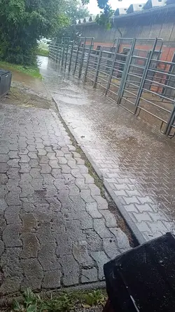 Wetter