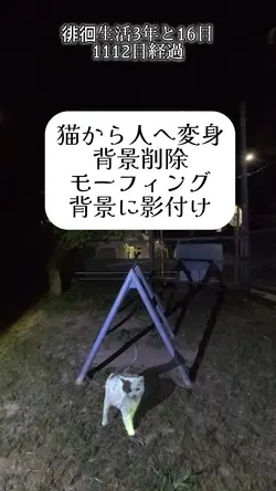 猫から人へ変身（背景動画に影付け）