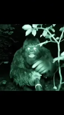 Bigfoot Grape Juice